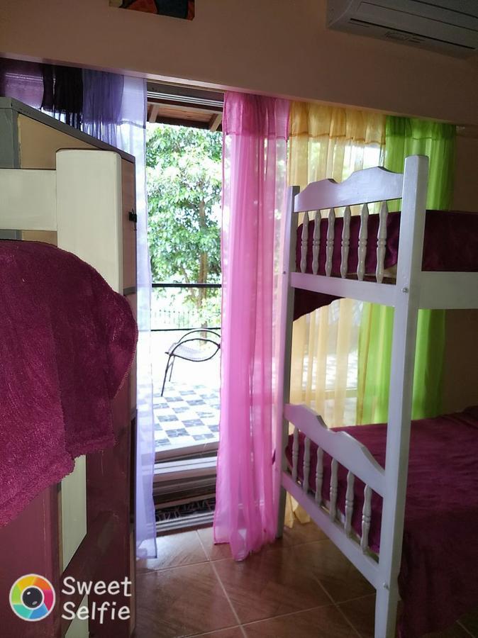 Butterfly Hostelプエルト・イグアス エクステリア 写真